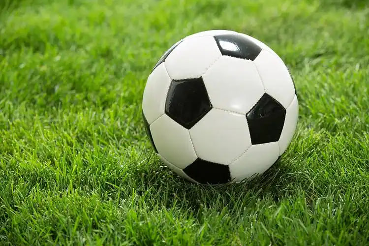 体球网足球即时比分手机版数据统计功能